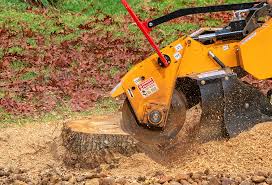 Best Lawn Watering Services  in Wynantskill, NY
