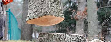 Best Commercial Tree Services  in Wynantskill, NY